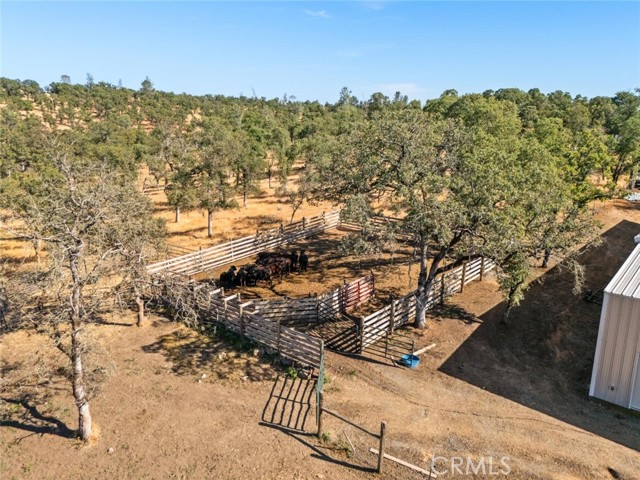 MLS #SN25145578 image #45