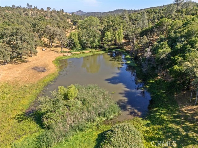 MLS #SN25145578 image #47