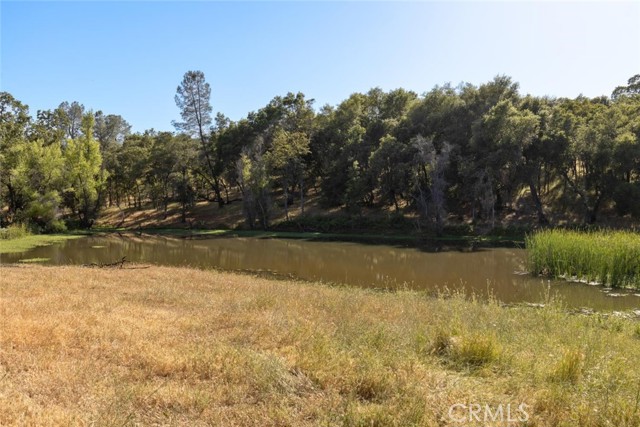 MLS #SN25145578 image #62