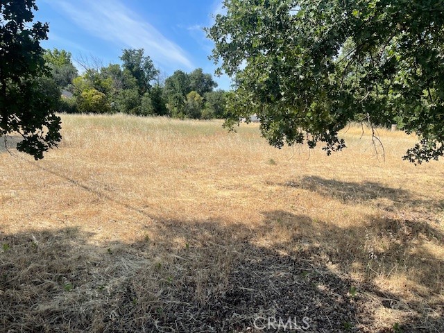 MLS #SN25147511 image #2