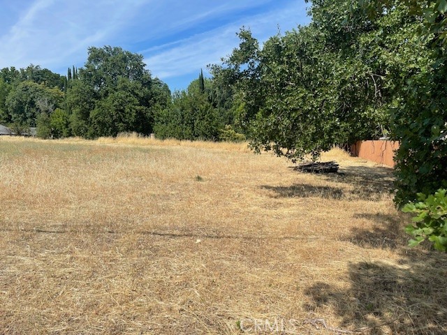 MLS #SN25147511 image #6