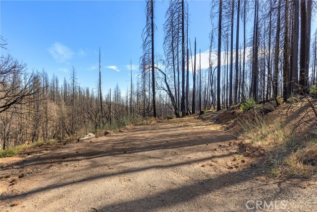 MLS #SN25152073 image #10