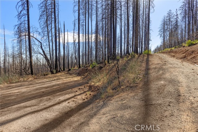 MLS #SN25152073 image #11