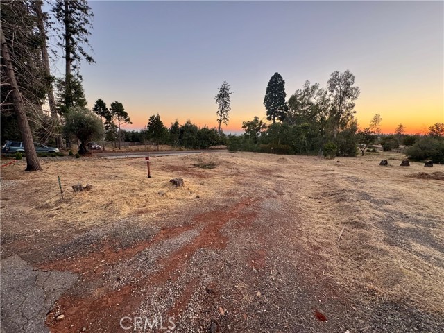 MLS #SN25160177 image #4