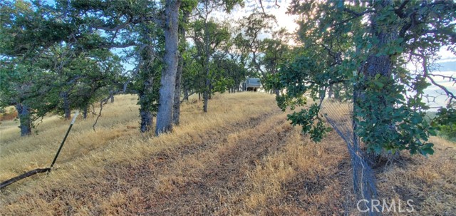 MLS #SN25165085 image #1