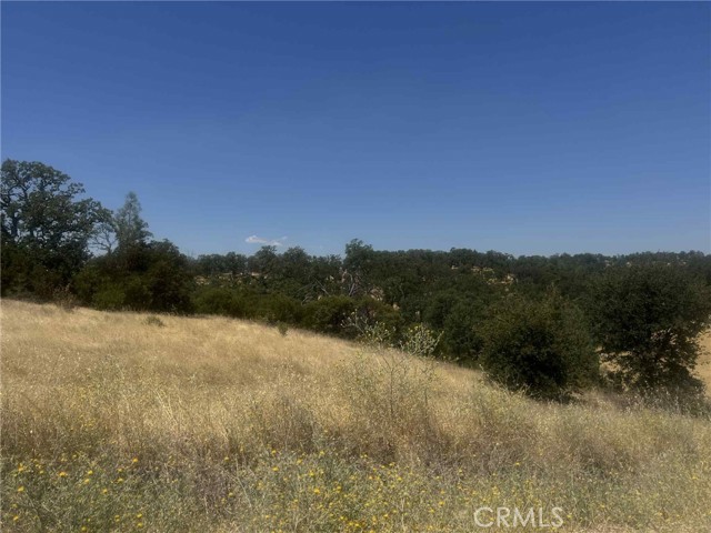 MLS #SN25165085 image #2