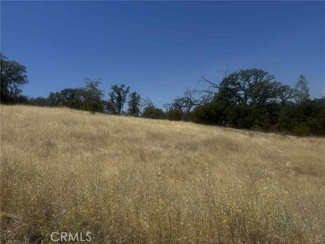 MLS #SN25165085 image #4