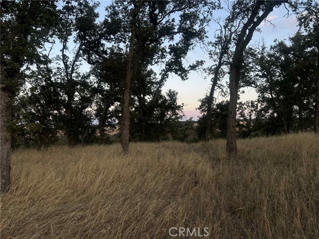 MLS #SN25165085 image #5