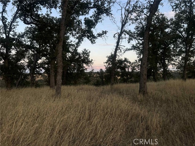 MLS #SN25165085 image #6