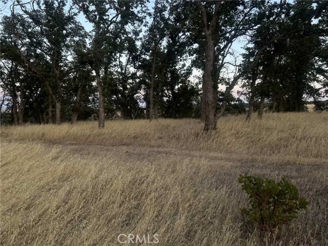 MLS #SN25165085 image #7