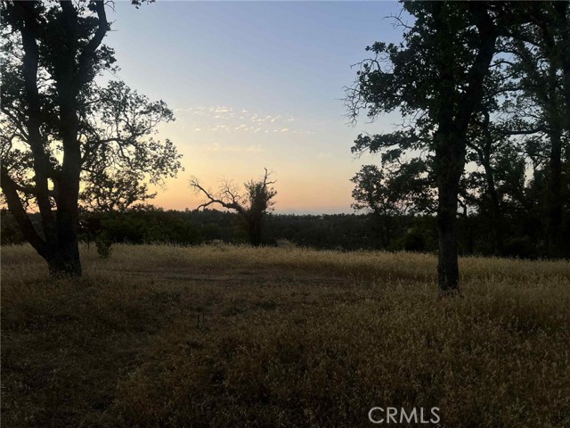 MLS #SN25165085 image #8