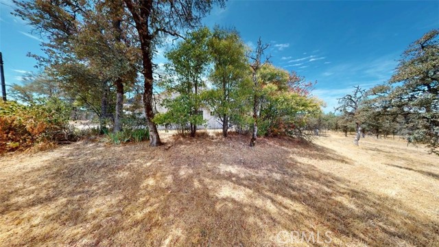 MLS #SN25165248 image #47