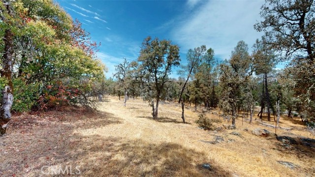 MLS #SN25165248 image #48