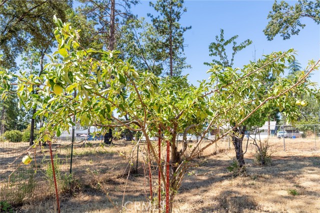 MLS #SN25166833 image #35