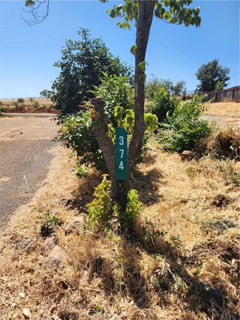 MLS #SN25167210 image #6