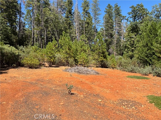 MLS #SN25168568 image #10