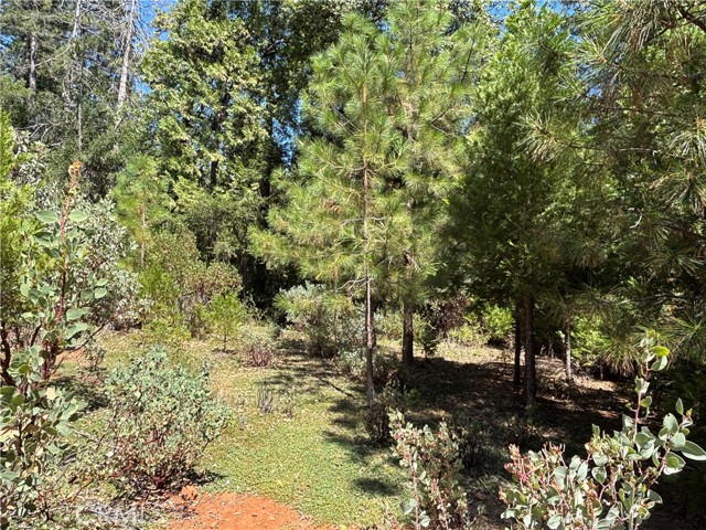 MLS #SN25168568 image #11