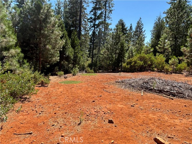 MLS #SN25168568 image #12