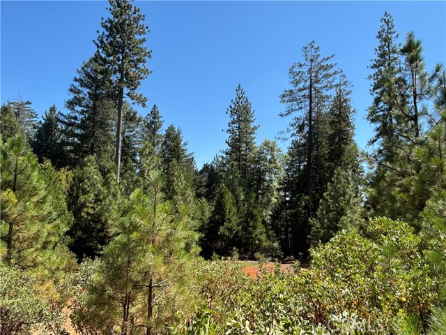 MLS #SN25168568 image #13