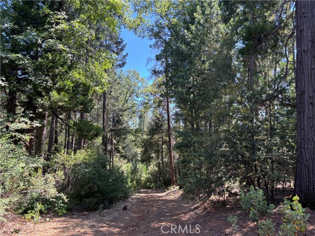 MLS #SN25168568 image #14