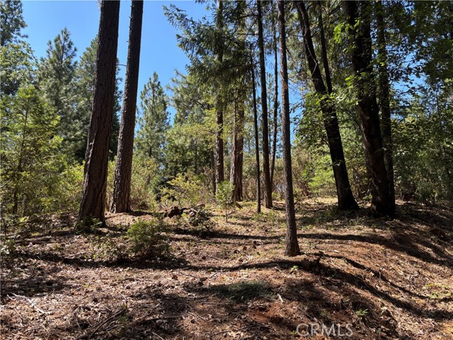 MLS #SN25168568 image #15