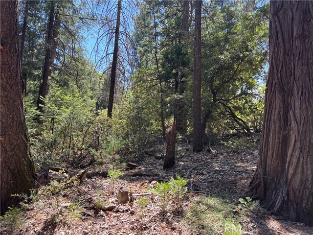 MLS #SN25168568 image #16