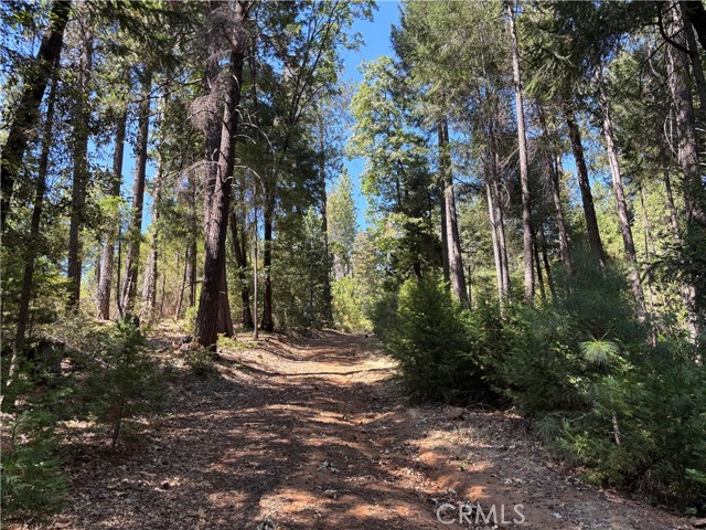 MLS #SN25168568 image #17