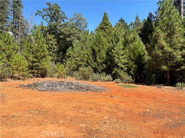 MLS #SN25168568 image #3