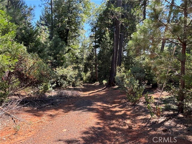 MLS #SN25168568 image #4