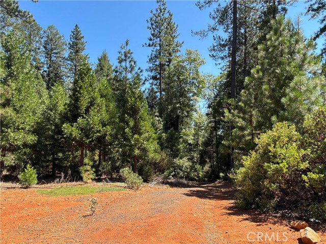 MLS #SN25168568 image #5