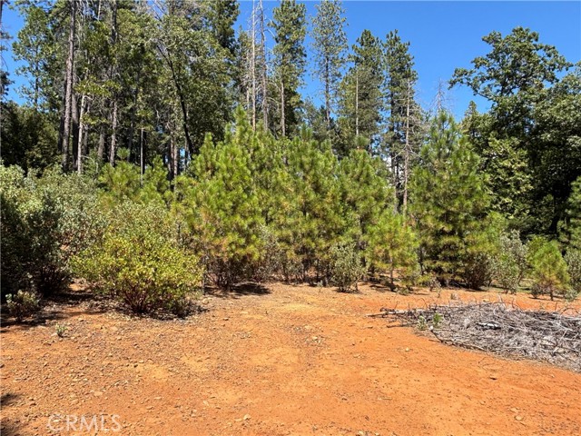 MLS #SN25168568 image #6