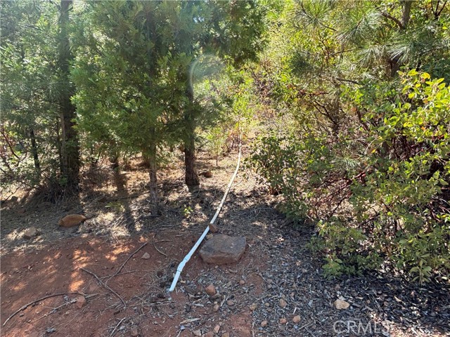 MLS #SN25168568 image #7