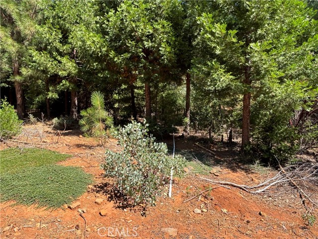 MLS #SN25168568 image #8