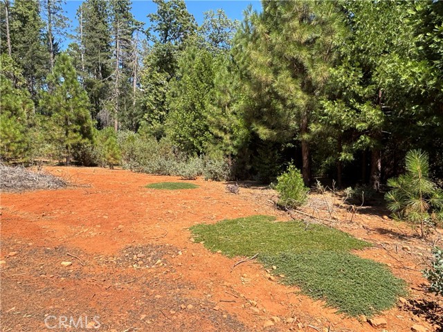 MLS #SN25168568 image #9