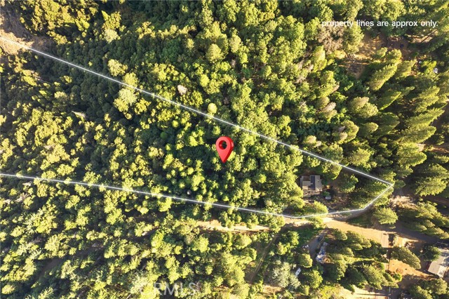 MLS #SN25169092 image #48