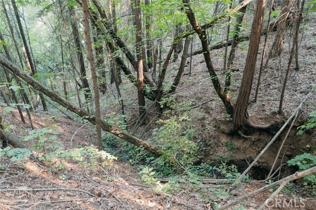 MLS #SN25169092 image #51