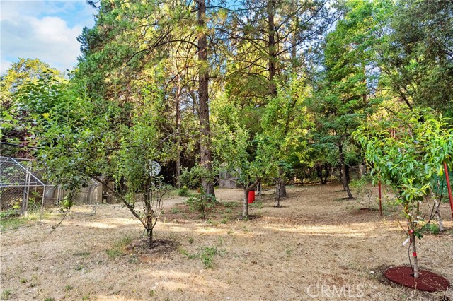 MLS #SN25169092 image #53