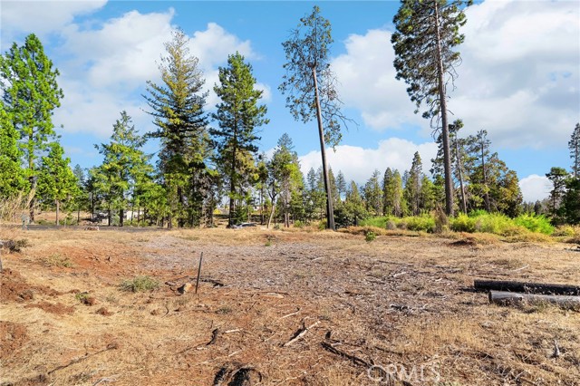 MLS #SN25170127 image #5