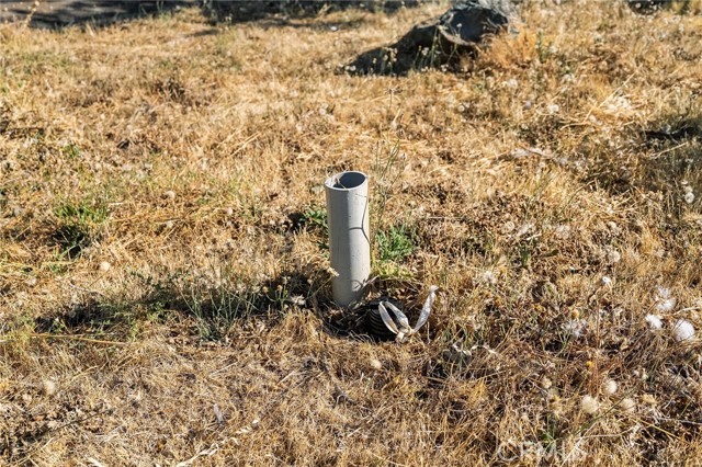 MLS #SN25170127 image #7