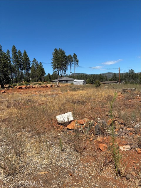 MLS #SN25172810 image #3