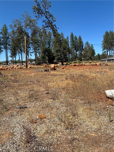 MLS #SN25172810 image #5