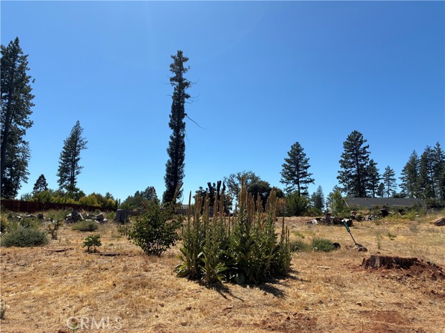 MLS #SN25172810 image #6