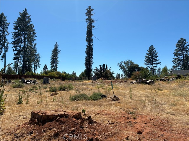 MLS #SN25172810 image #9