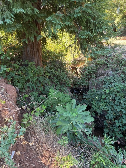 MLS #SN25172811 image #2