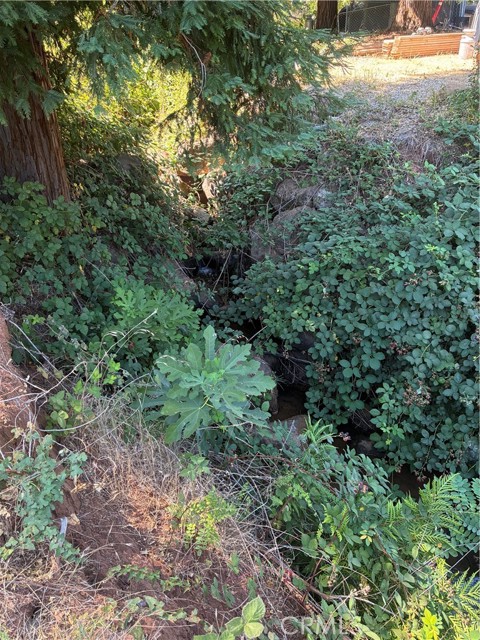 MLS #SN25172811 image #3