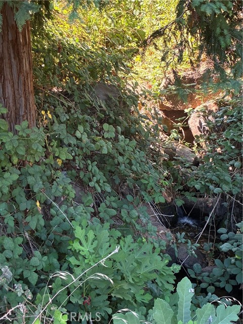 MLS #SN25172811 image #4