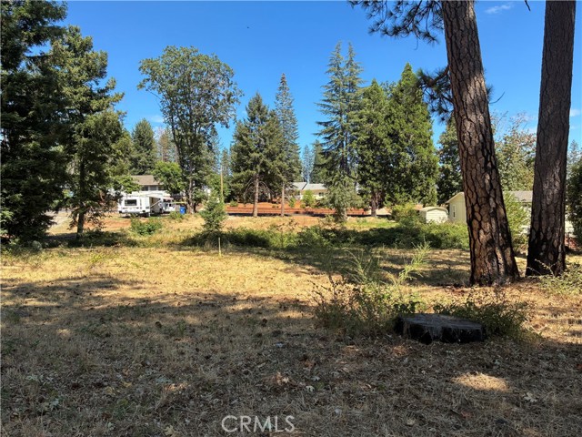 MLS #SN25172811 image #5