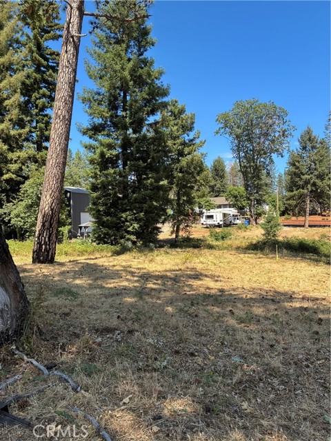 MLS #SN25172811 image #6