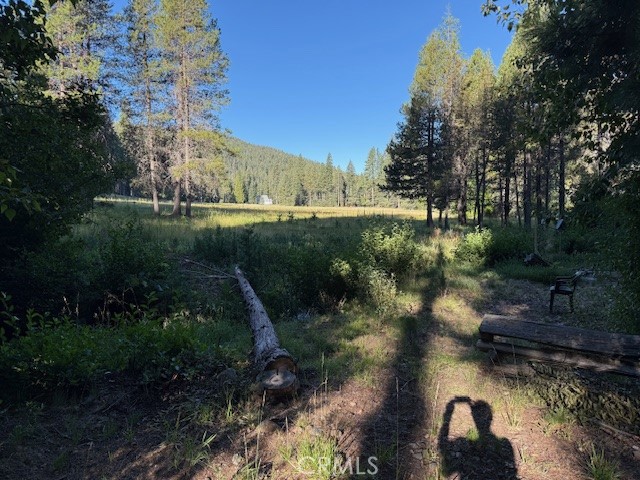 MLS #SN25177497 image #4