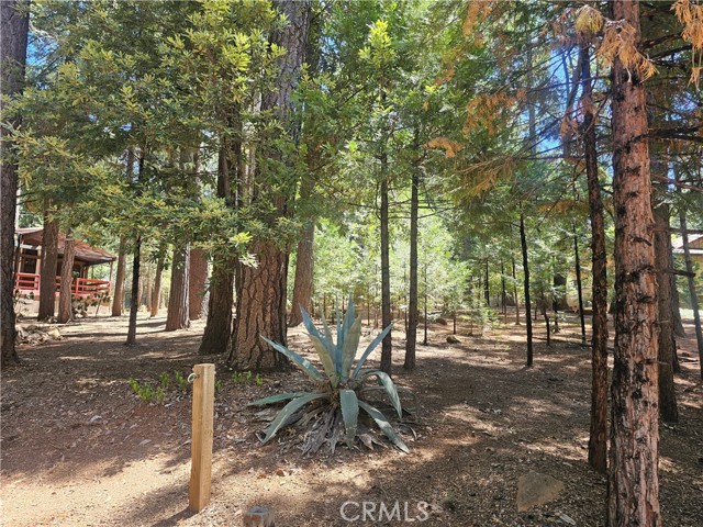 MLS #SN25178140 image #8